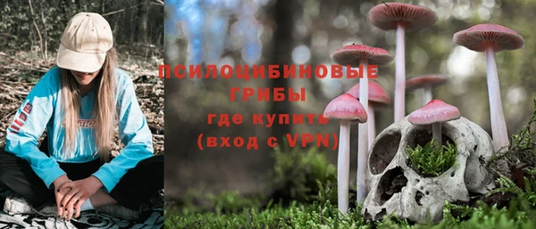 прущие крисы Корсаков