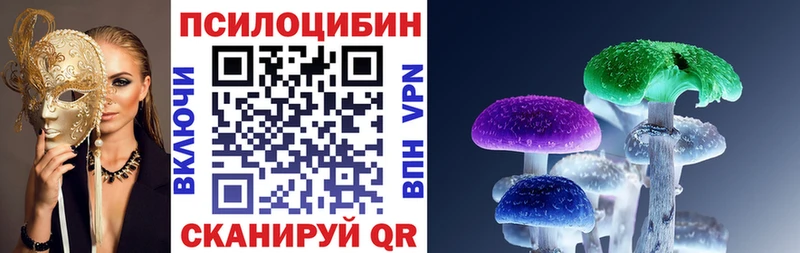 OMG как зайти  Сокол  Псилоцибиновые грибы GOLDEN TEACHER  цена  